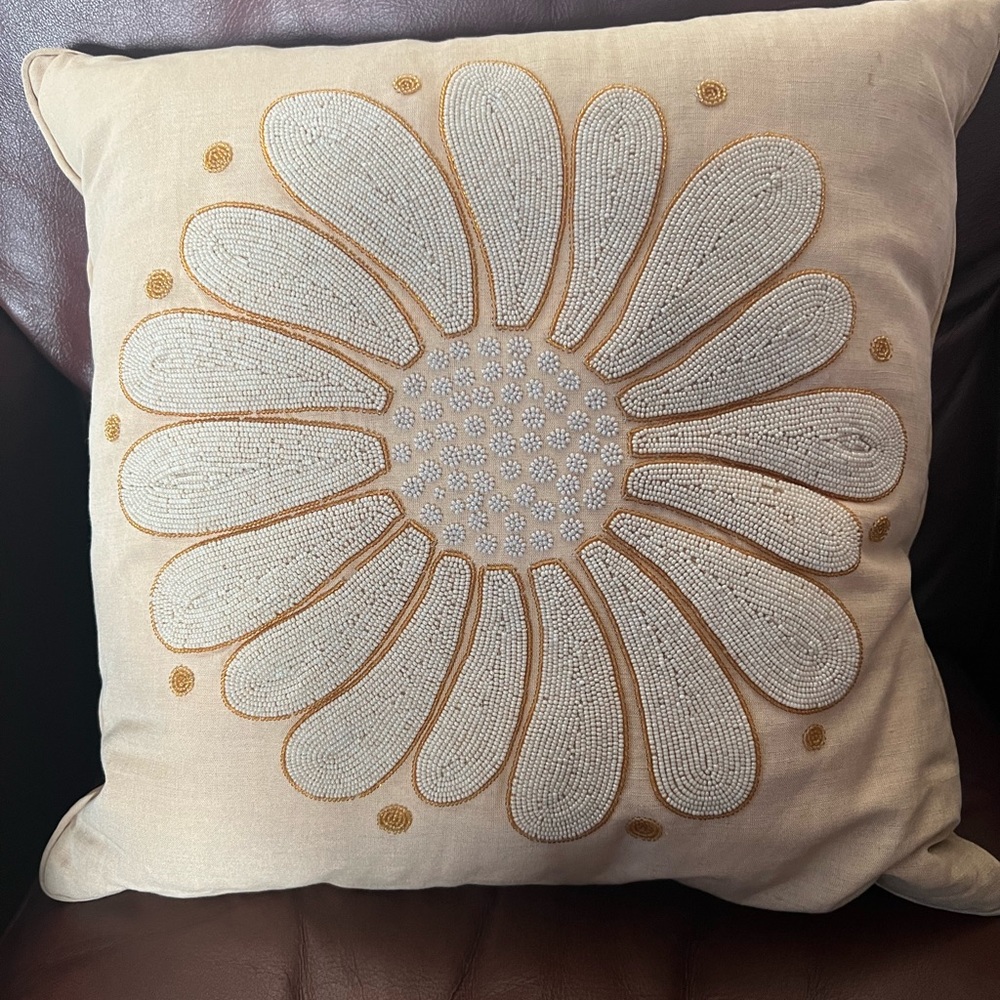 Mark Snider EUC pillow